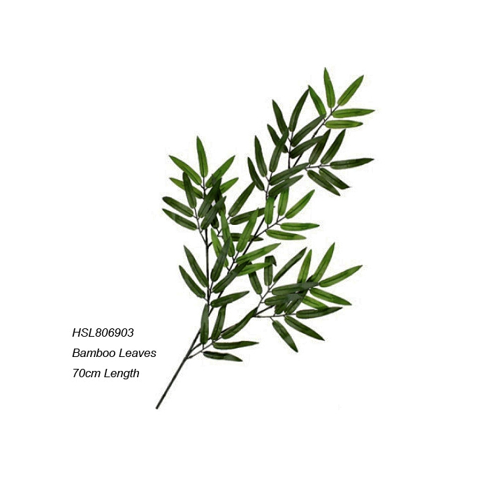 Leaves